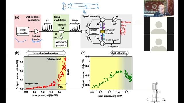 Krylov_2021_NanoOptics-08-2.mp4