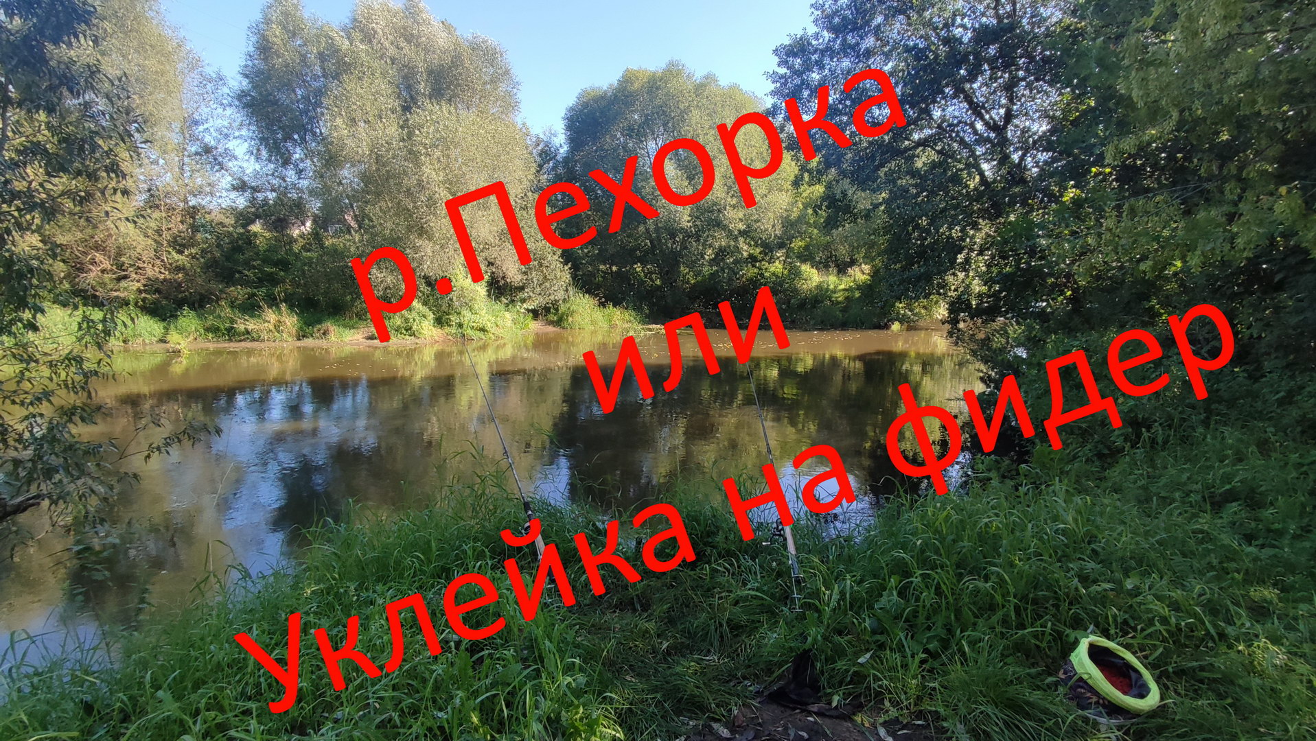 Река Пехорка или Уклейка на фидер.