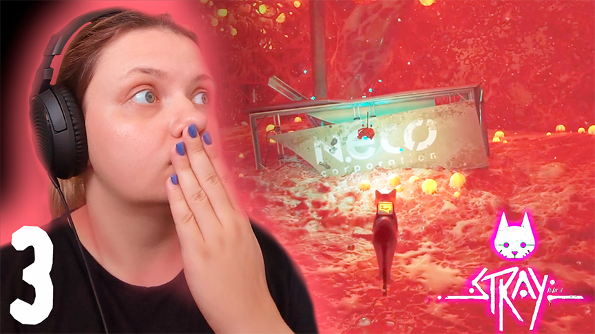 Кошачья спасательная операция - Stray - 3