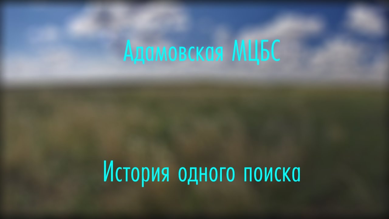 История одного поиска