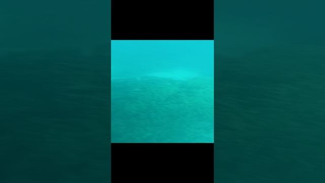 Экскурсия на яхте по Красному морю. Египет. Июль 2023.