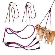 Поводок для выгула одновременно трёх собак