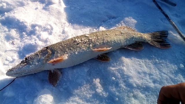 Проверка перемета в-30.