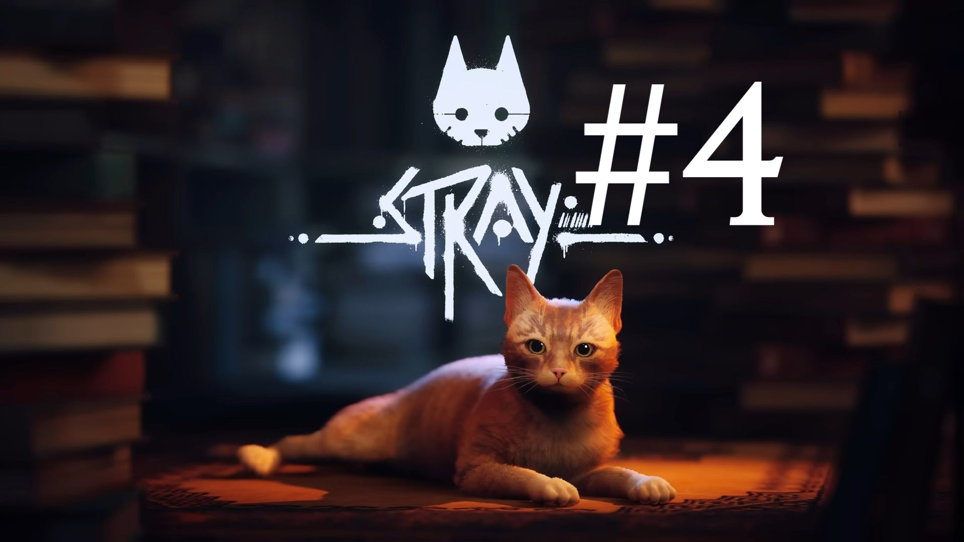 ПЕСНИ ПОД ГИТАРУ ► Stray #4