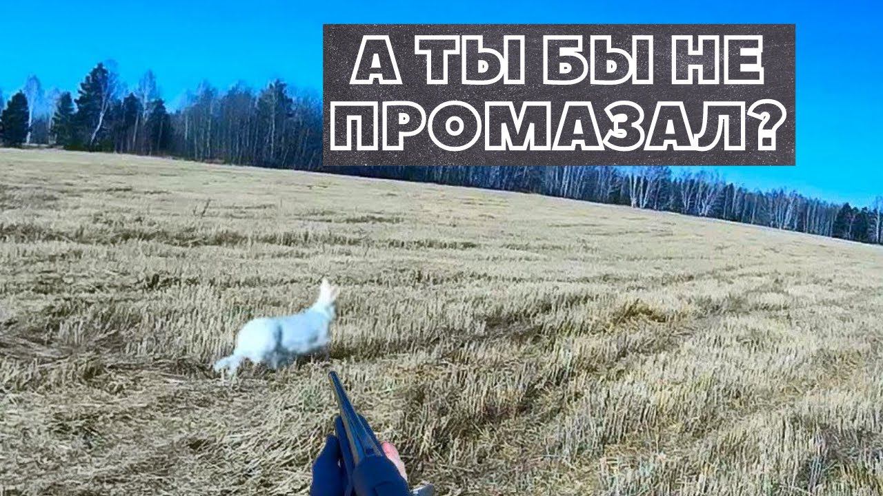 ЧЕТВЕРТЬ ПАТРОНТАША НА ОДНОГО ЗАЙЦА