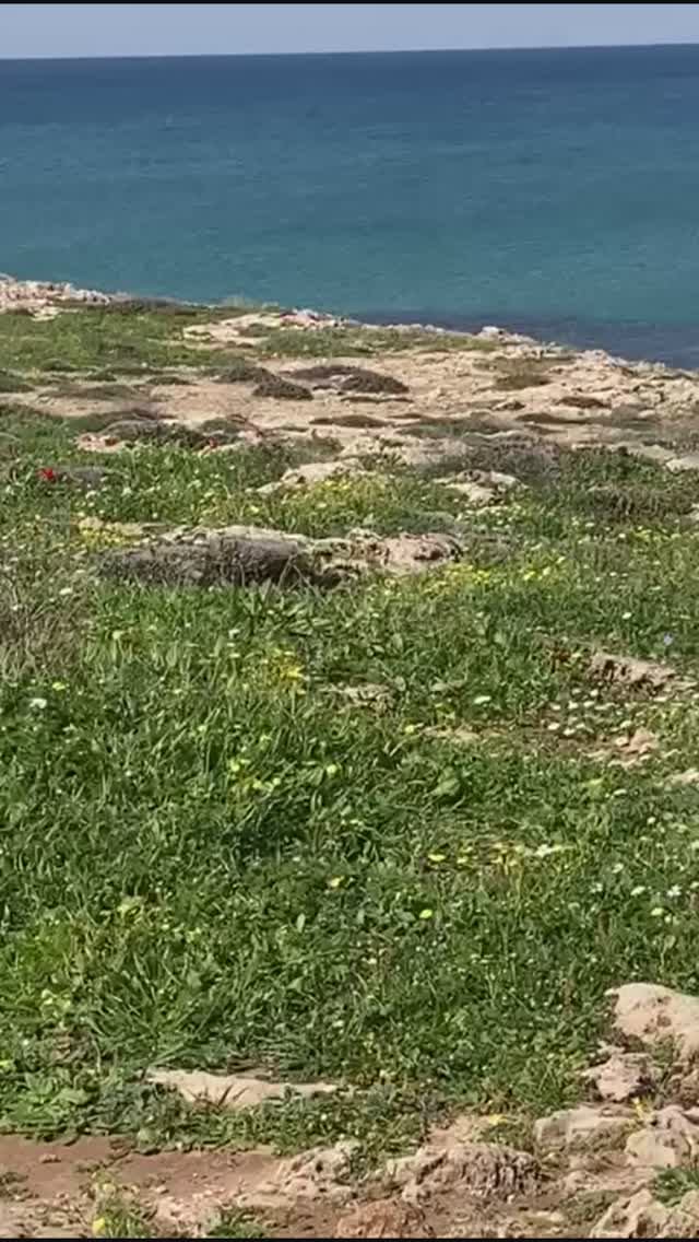 Побережье Средиземного моря  . Израиль