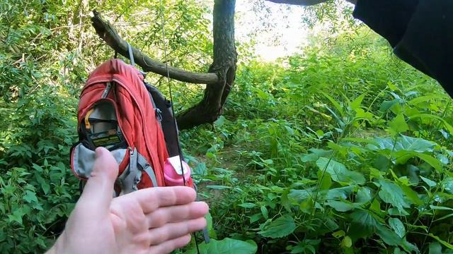 Десна, ниже дамбы 28 июня 2024 года