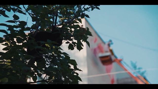 Новости "Волга -24" 21.07.2023 15:00