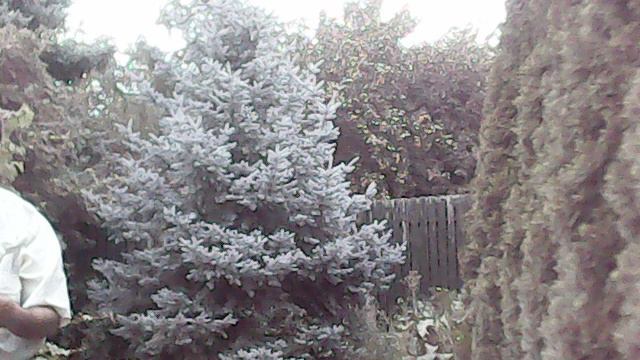 Механический АВИАТЛОН во дворе. Центробежный запуск.