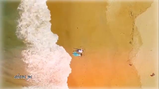 Песня БОМБА !! Взрыв Эмоций !! ХОЧУ В ШАЛАШ