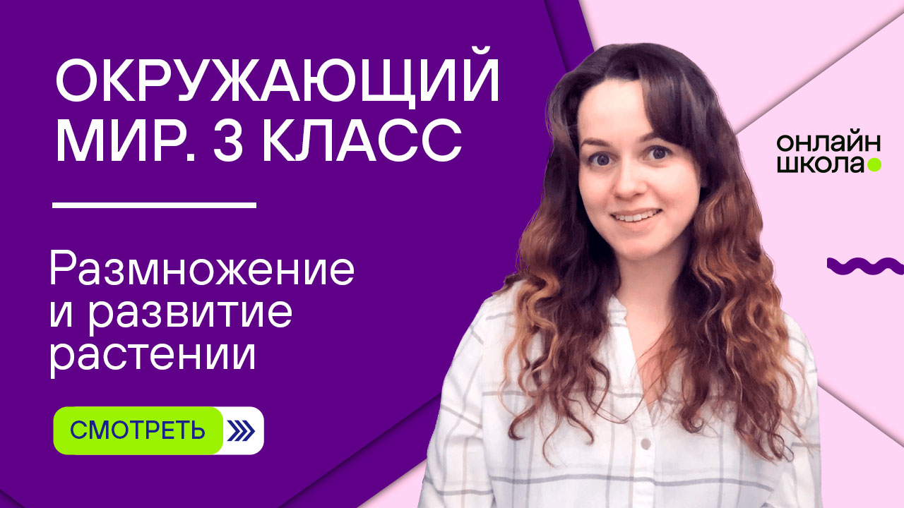 Размножение и развитие растений. Видеоурок 11. Окружающий мир 3 класс
