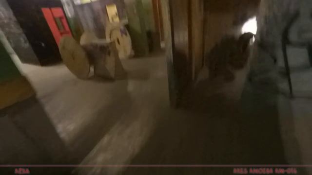 WARTHOG В ДЕЛЕ! Играем в страйкбол с Ares M4 Sharps Bros Warthog Octarms S