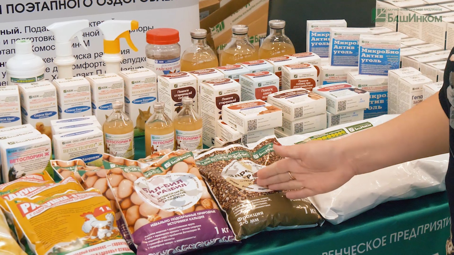 У кого горе от ума, а у нас ума палата