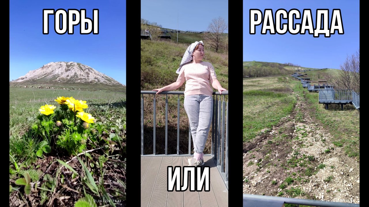 4 дня в темноте. Что с рассадой...