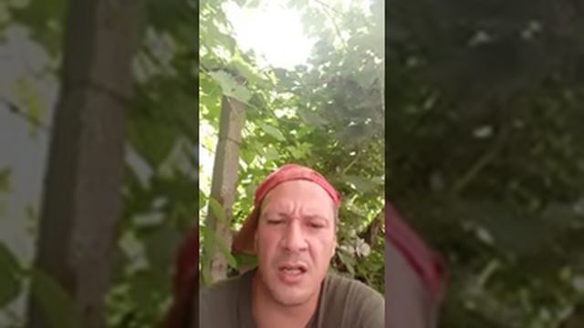 441.田.14.11.£.СВЕТЛАНА.НЕСЧАСТЬЕЖЕНЩИНА. . PROPHET. SHCHERBAKOV. ЩЕРБАКОВ . АРТЁМ