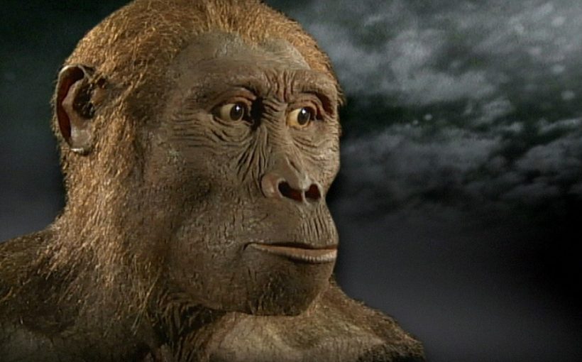 Эволюция человека за 8 минут