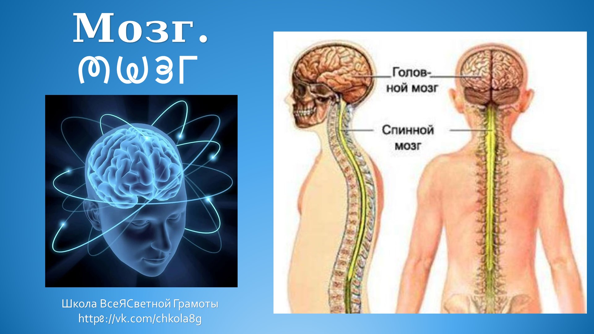 Мозг. Мождени (стар.)