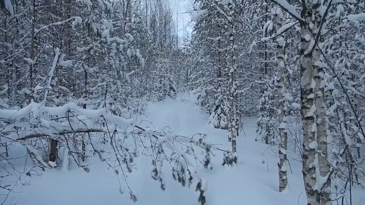 Больше никаких лыж.)