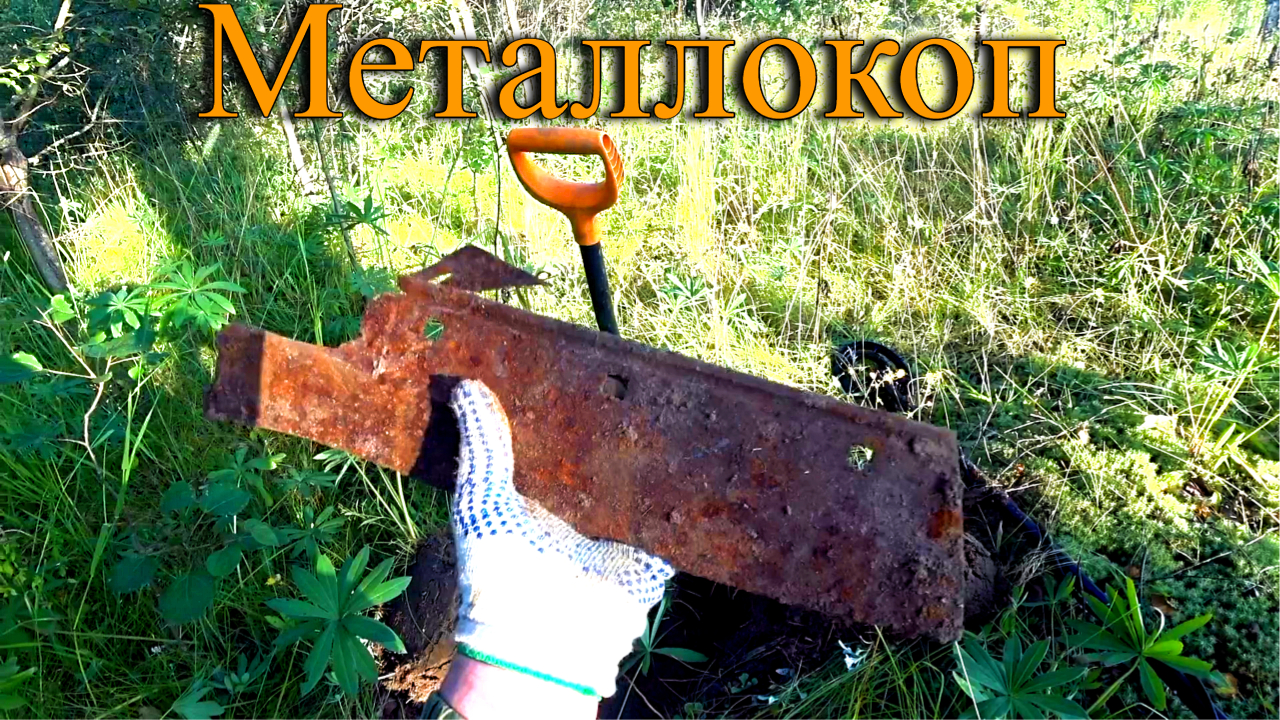 Металлокоп в окрестностях заброшенной деревни.