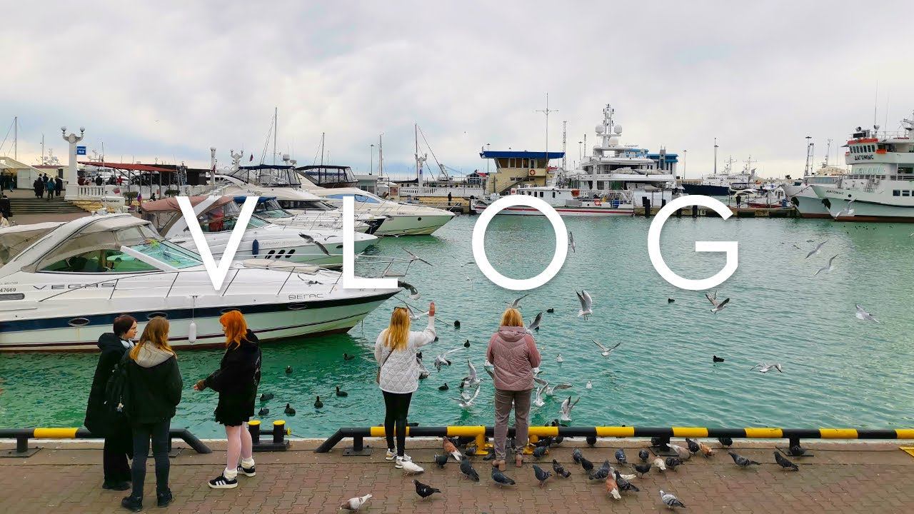Vlog | Море чаек и музыкальная улица Навагинская в Сочи в феврале