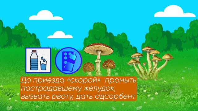 Что делать если съел ядовитый гриб