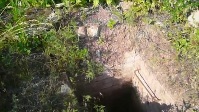 Опасности лесных походов