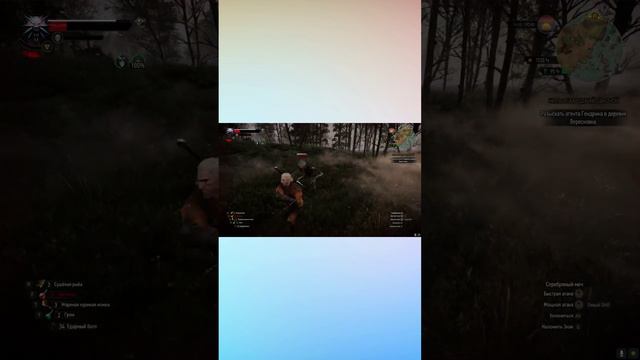 Ведьмак 3: Дикая Охота / ФОТОРЕЖИМ! / #shorts