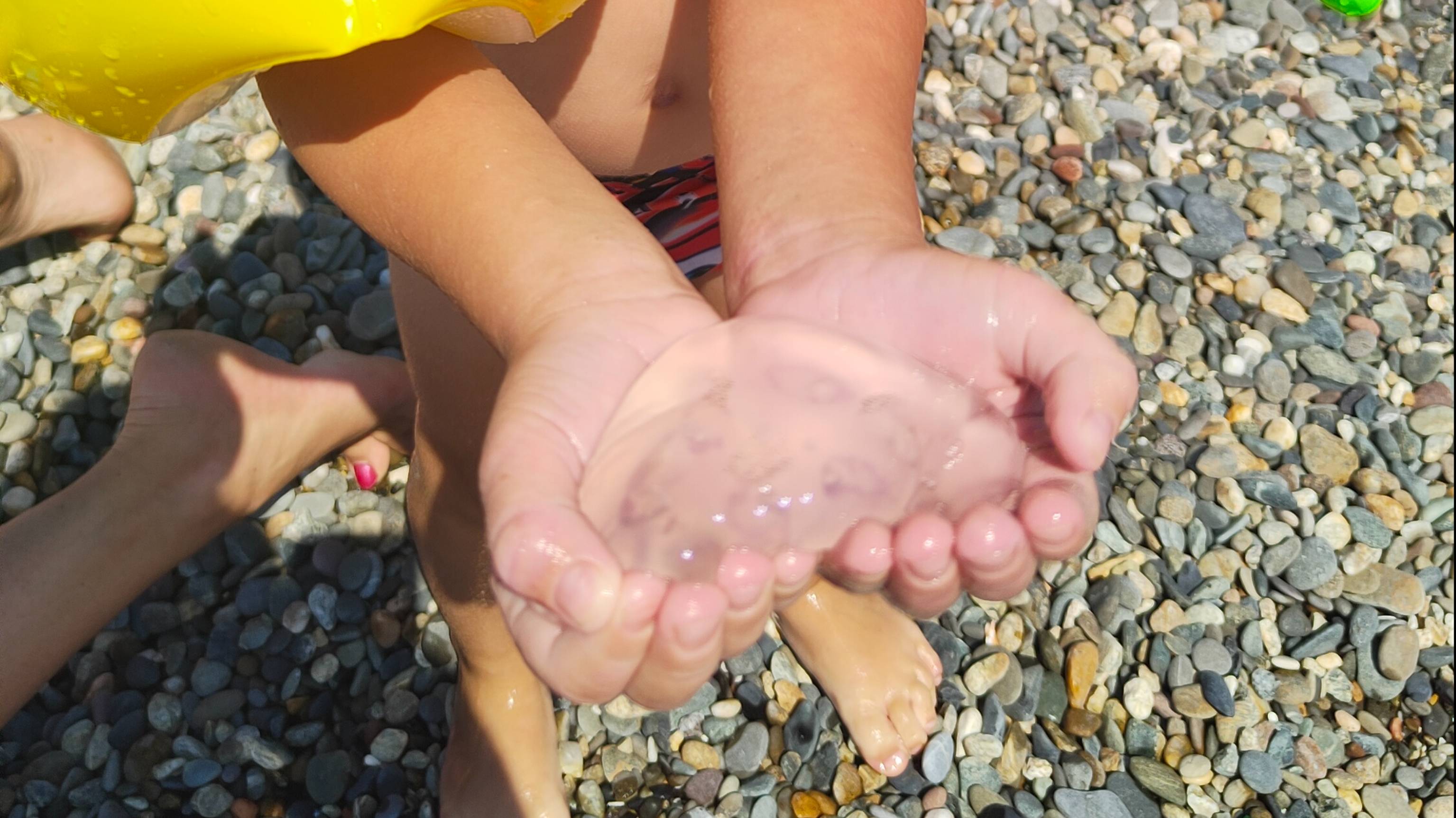 #7 Кормим ножками рыбок  ловим медуз