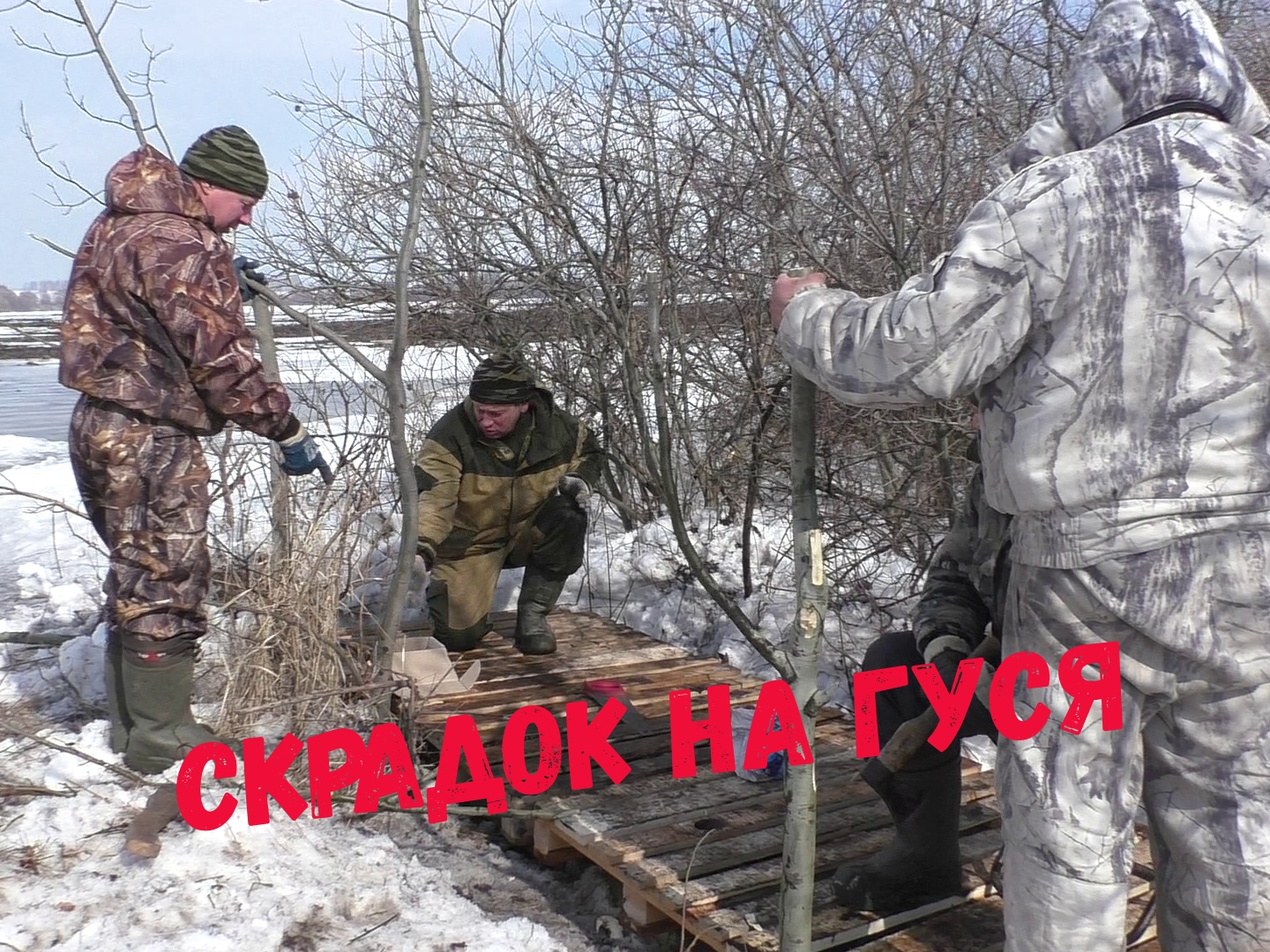 Выбор места и изготовление комфортного скрадка для бригадной гусиной охоты.Skladok for goose hunting