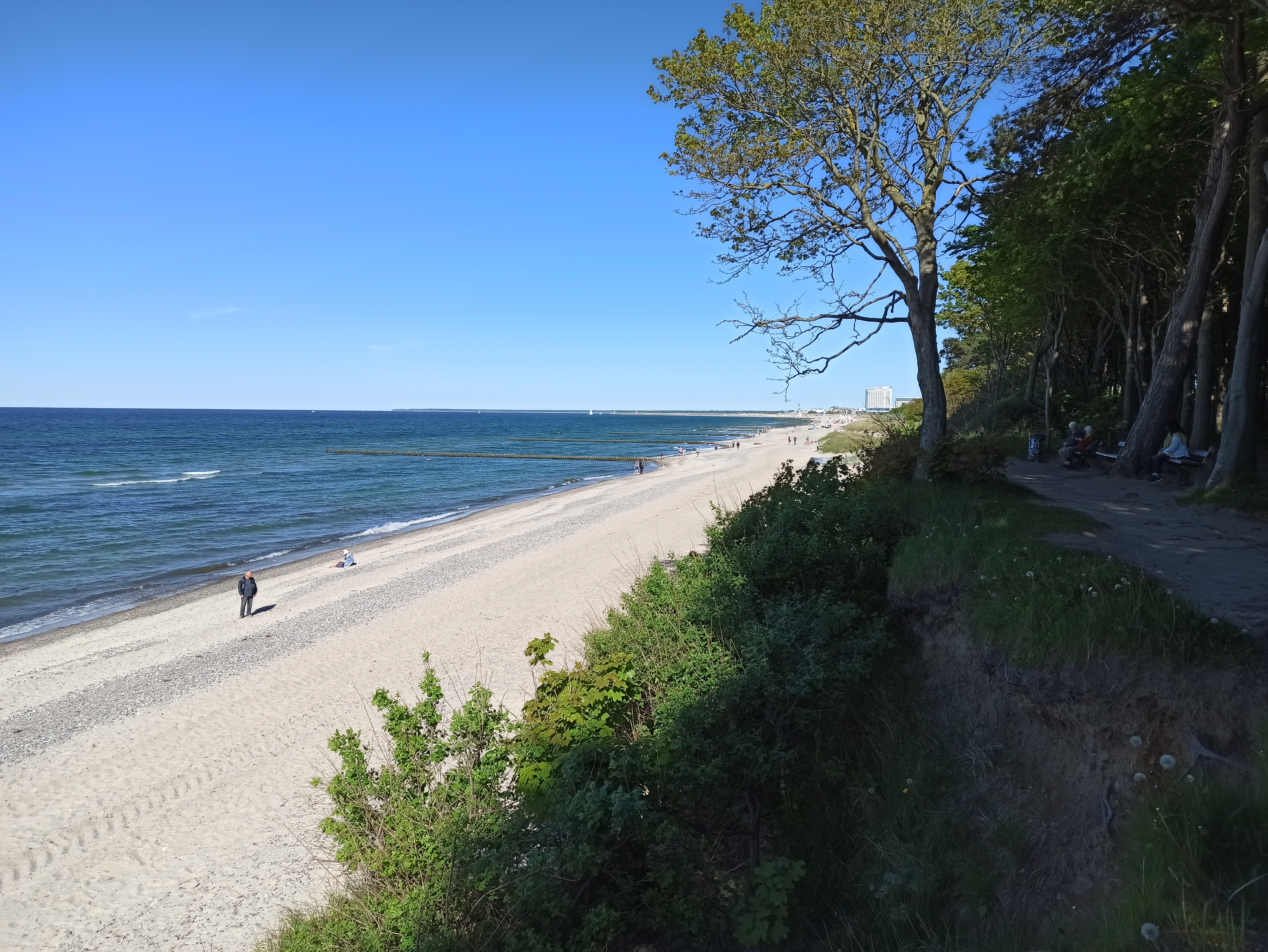 в лесу где существуют привидения