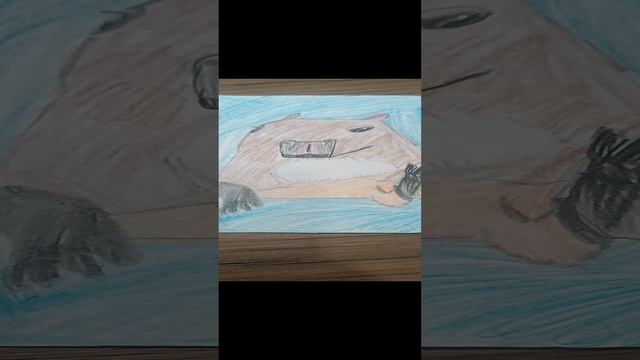 дорисовал  капибару