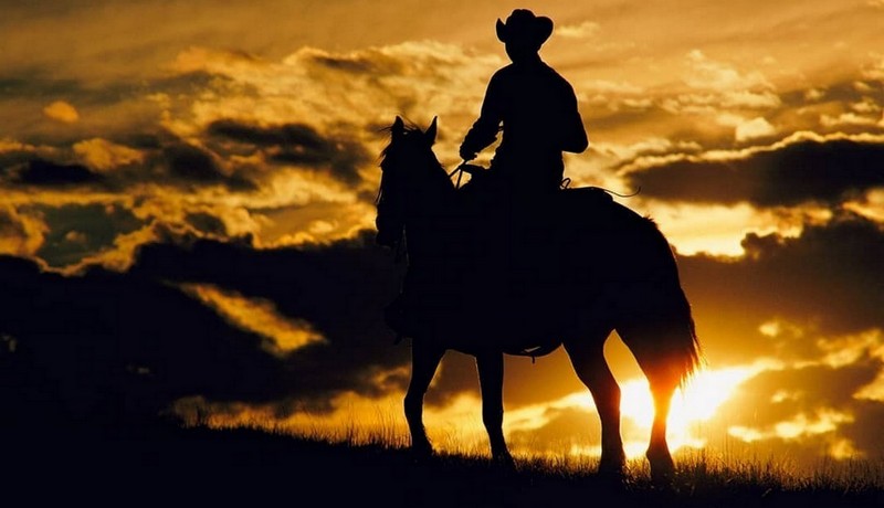 Владимир Нежный - По прерии вдоль железной дороги