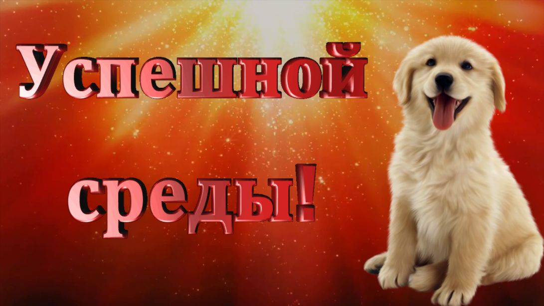 Успешной среды!