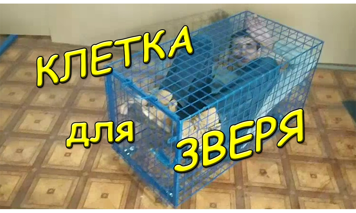Клетка для зверя (животных, кошек, собак). Производство любых. Cage for animals
