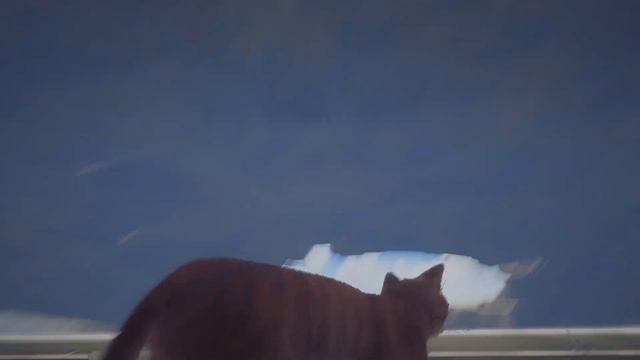 STRAY - Прохождение #8. ФИНАЛ