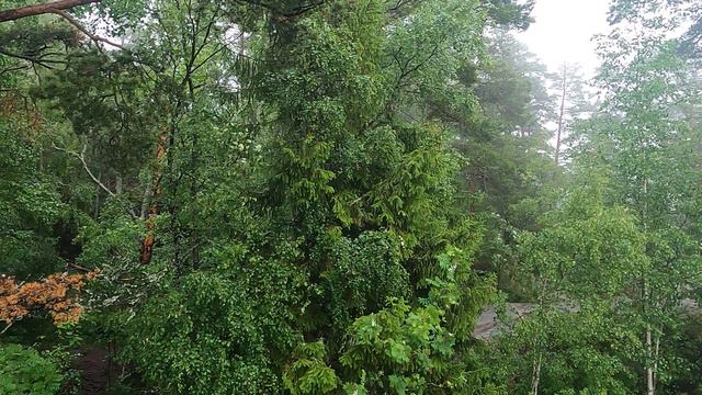 ПРОГУЛКА ПО  ЛАДОЖСКИМ  ШХЕРАМ.  2024 ЧАСТЬ 3