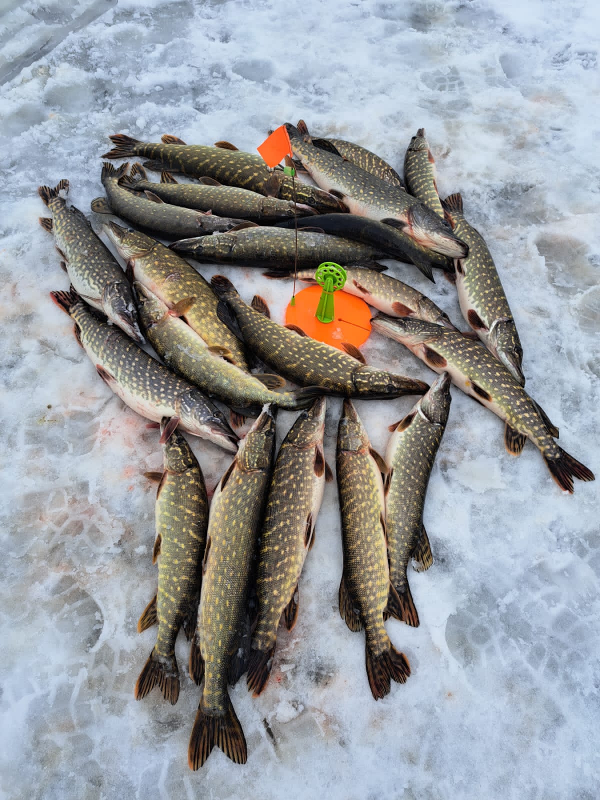 Как на "чёрных камнях"!