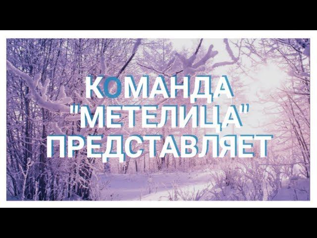 Следж хоккей в МПЭСЦ "Метелица"
