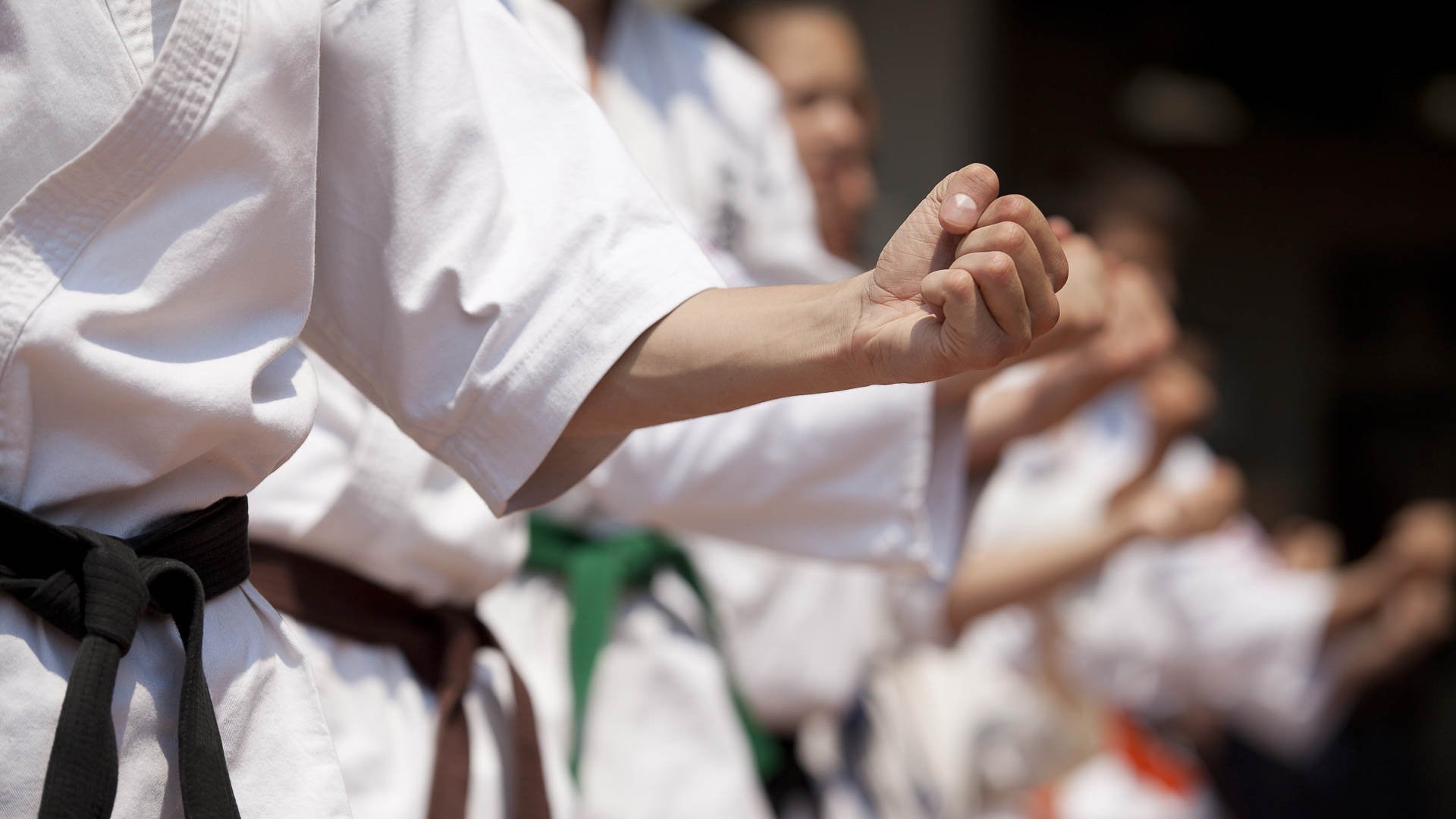 Боевые искусства мира. Кёкусинкай