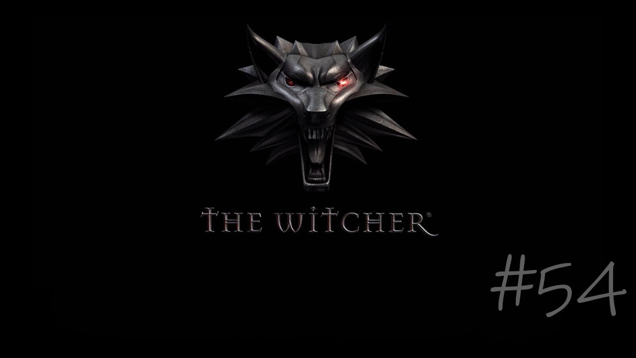 The Witcher #54