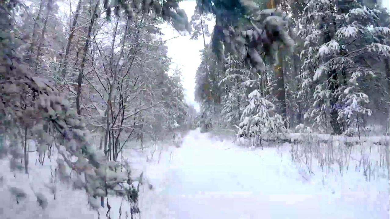 ЗИМА В ЛАСКОВО 2022.11.20