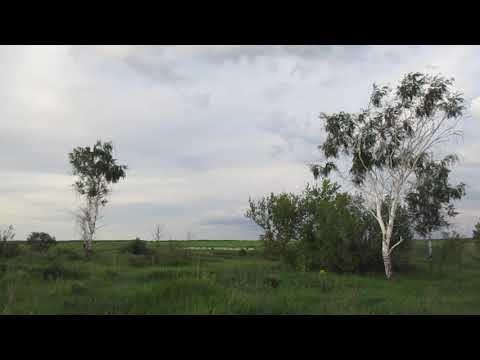 Опустевшая деревня Сорочья Крепость, Аткарский район