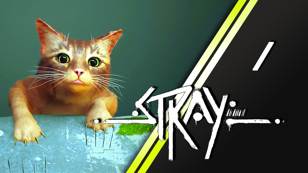 Stray прохождение | 1