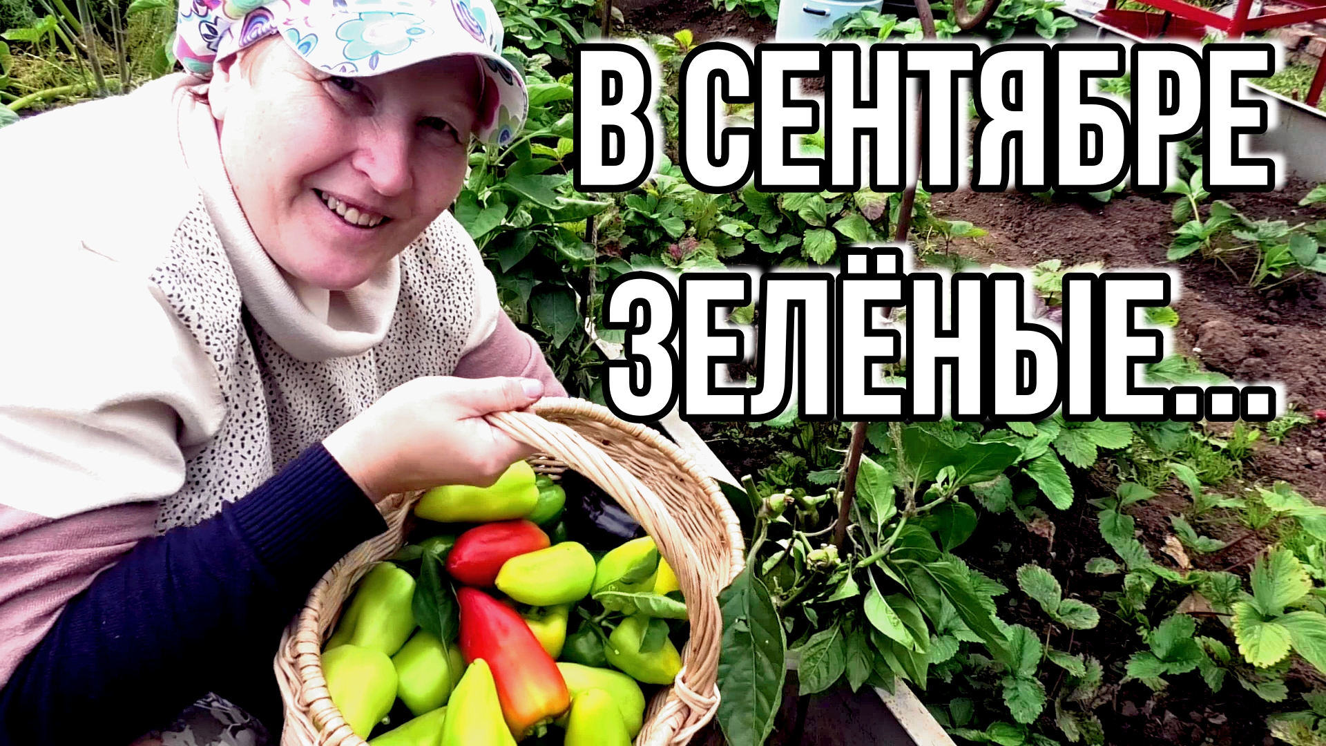 Собираем последние ... Так уже хочу просто отдохнуть.