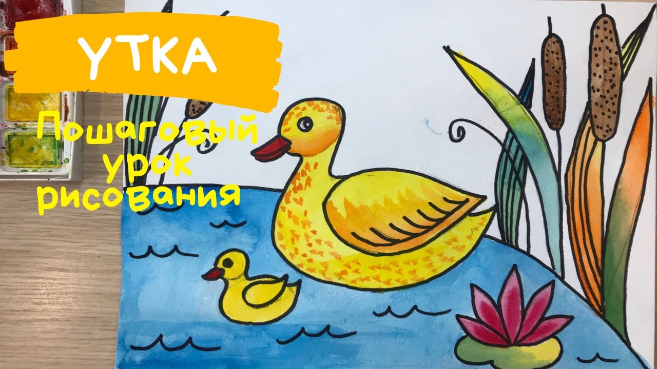 Утка с утятами рисунок. Как нарисовать УТКУ ребенку. Рисунок УТОЧКИ. Утка рисунок для детей.