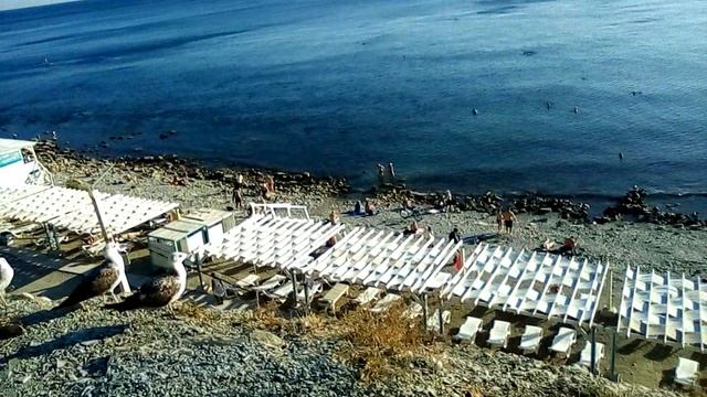 Анапа. Чайки и море.