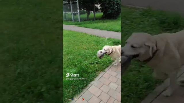 Футбик, разминка.mp4