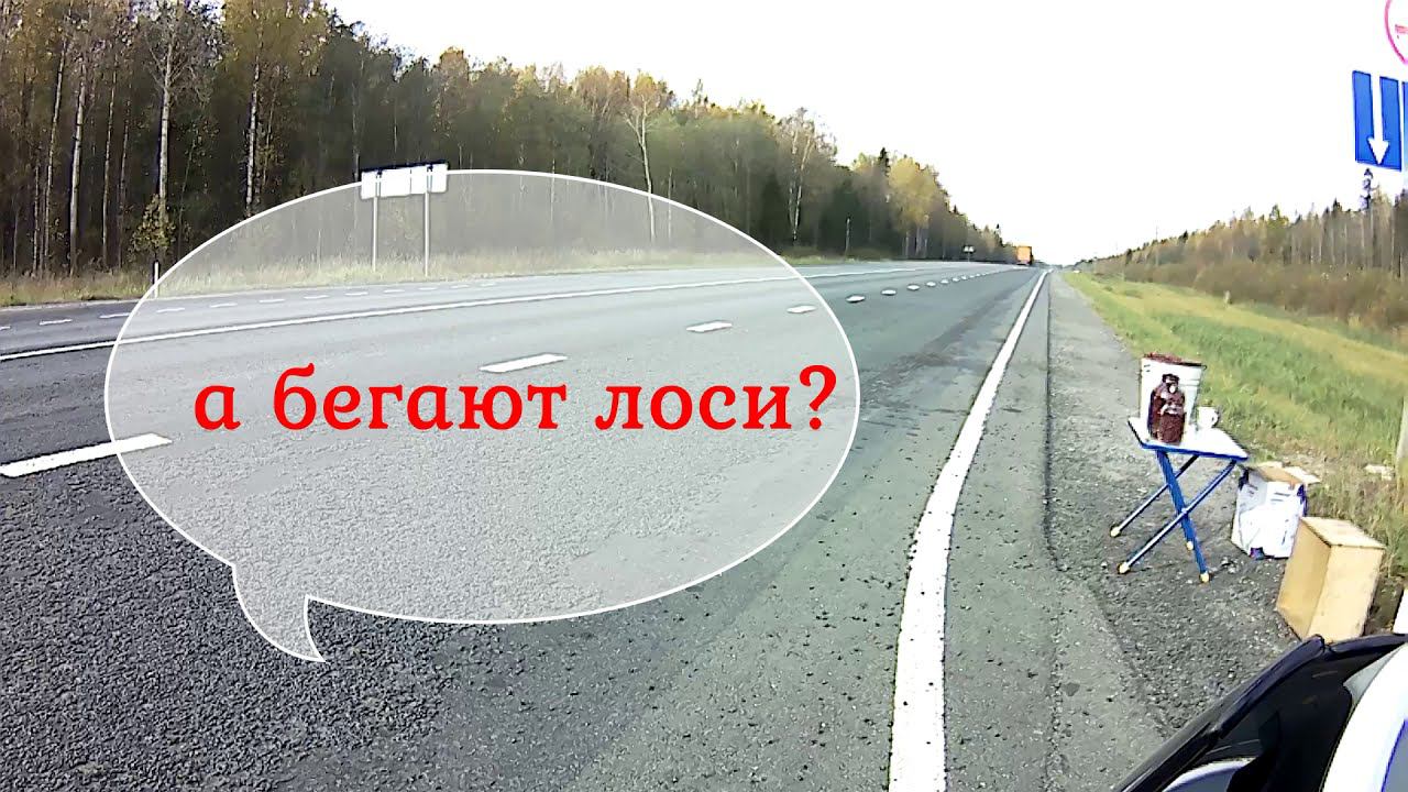 10.2020 Череповец - Тверь - Сычёвка. Октябрь 2020. Часть 4.