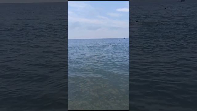 Море🌊🏊 Туапсе ☀️