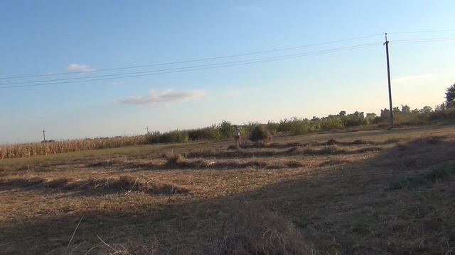 ВСЕ! Мой сезон заготовки сена окончен. УРА!